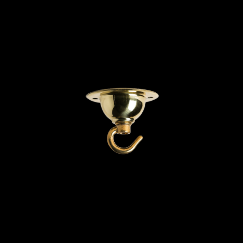 1098 - Polished Brass Ceiling Rose Hook