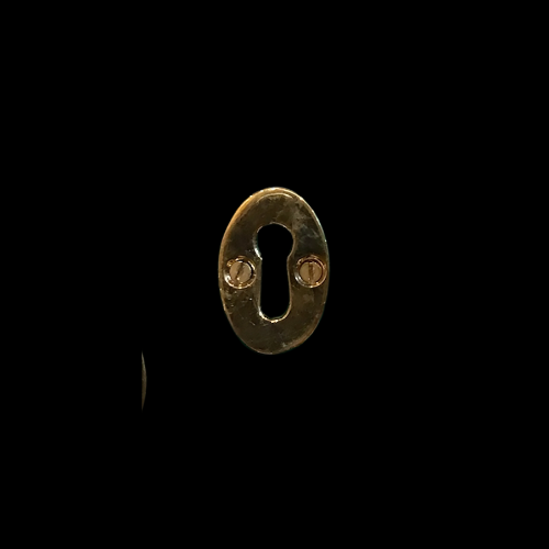 213 - Polished Brass (unlacquered) Oval Escutcheon
