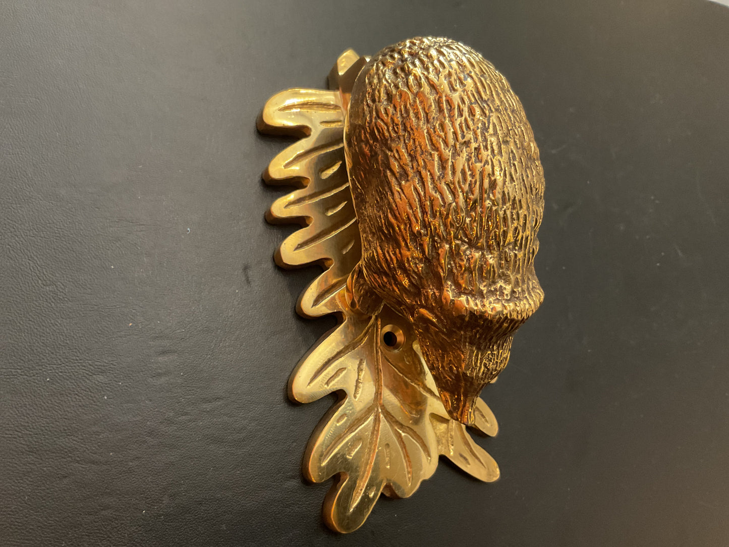 5705 - Polished Brass Hedgehog knocker