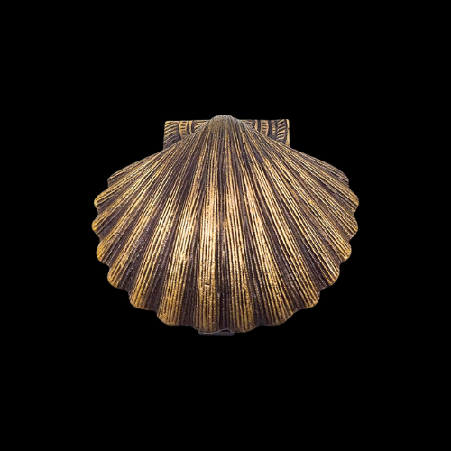 5730 - Polished Brass (unlacquered) Scallop Shell Knocker