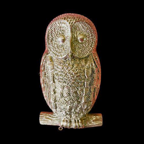 5768 - Polished Brass (unlacquered) Owl Knocker