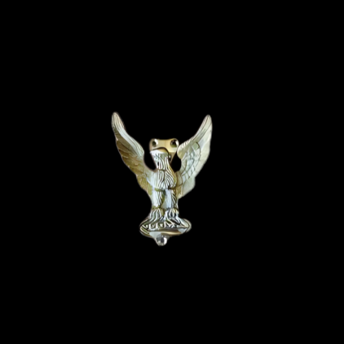 5774 - Polished Brass (unlacquered) Eagle Knocker