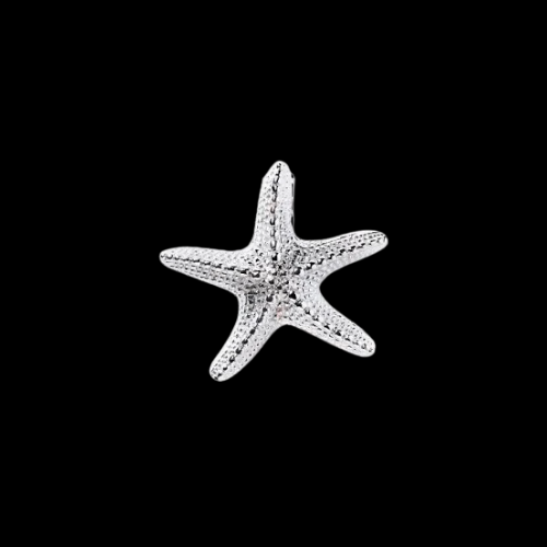 8010 - Silver Starfish Knocker