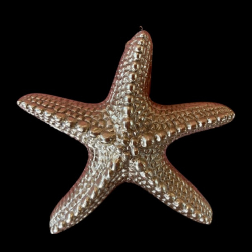 8008 - Bronze Starfish Knocker